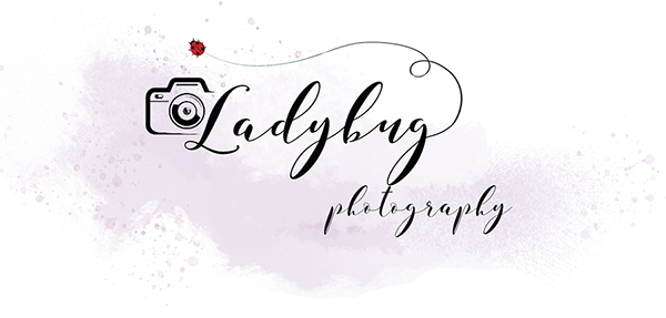 Logo for Ladybug Photography