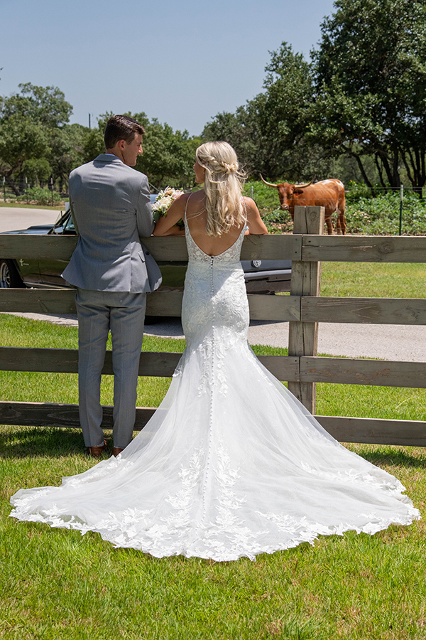 bride and groom with longhorn, styled shoot, Texas Hill Country wedding photographer